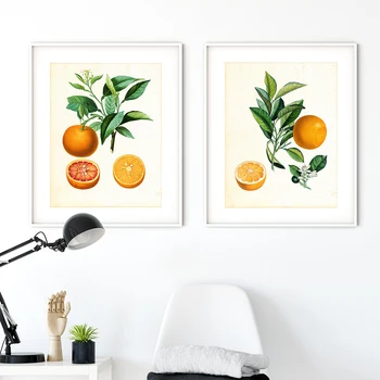 Turuncu Narenciye Tuval Boyama Baskılar Mutfak duvar sanat dekoru Vintage Botanik Meyve Posteri Resimleri Ev Odası Dekorasyon Posteri
