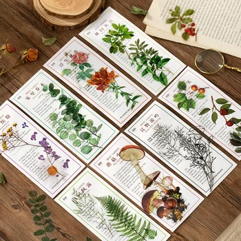 Yoofun 40 adet/paket Doğal Bitkiler Çiçek Mantar Bahçe Serisi Su Geçirmez PET Çıkartmalar Cep Fincan Scrapbooking Günlüğü DIY