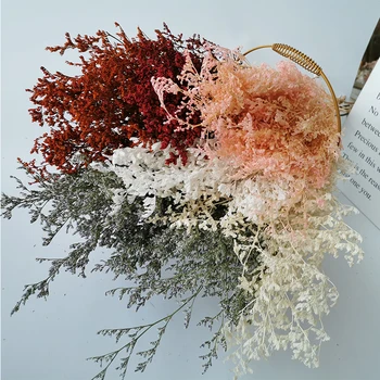 Kurutulmuş Doğal Çiçekler Taze Korunmuş Sevgilisi Çim Demet, Ebedi Ekran Gerçek Kuru Çiçek Çim Düğün Parti Ev Dekorasyon için